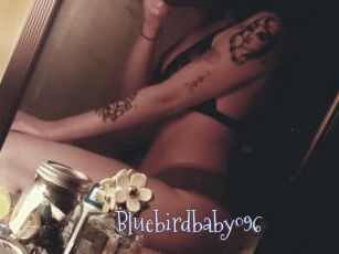 Bluebirdbaby096
