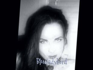 Blueladybird