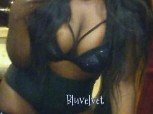Bluvelvet