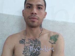 BoyCockHot