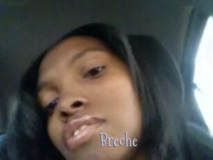 Breche