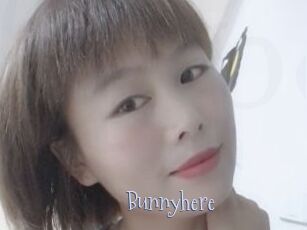 Bunnyhere