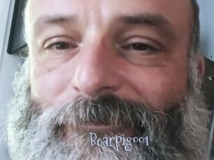 Bearpig001