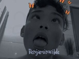 Benjaminwilde