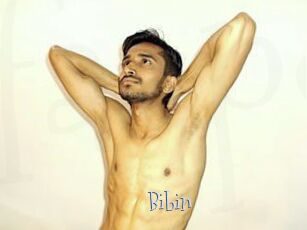 Bibin