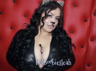 Bigboobiesleah