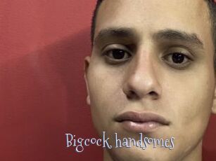 Bigcock_handsomes