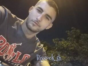 Bigcock_sh