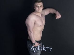Bigdickroy