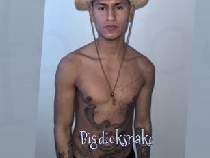 bigdicksnake Faceporno