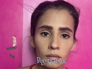 Bigorgamsx