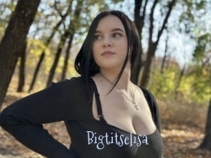 Bigtitselisa