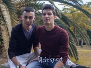 Bleicknort