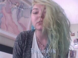 Bluebird0316