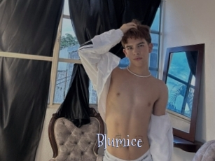 Blumice