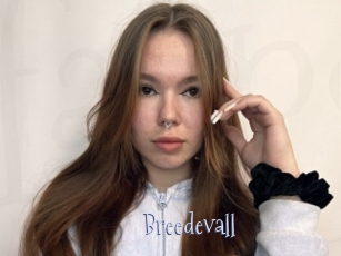 Breedevall