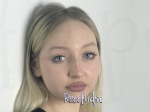 Breefudge
