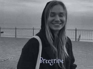 Breegrine