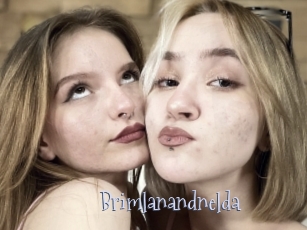 Brimlanandnelda