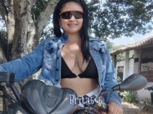 Brita505