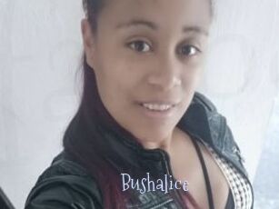 Bushalice