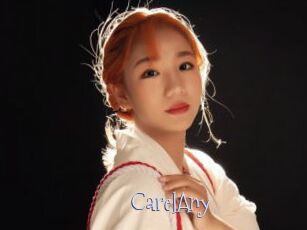 CarelAny