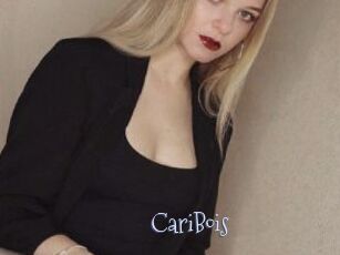 CariBois