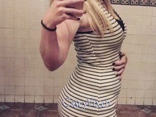 CaseyVixen