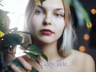 Casey_Brie