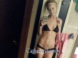 Cashmerebunny