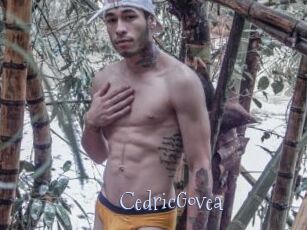 CedricGovea