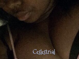 Ceslestrial