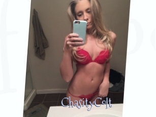 ChasityColt