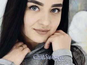 ChatSauvage