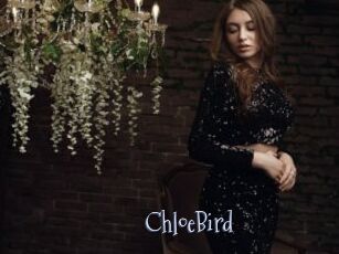 ChloeBird