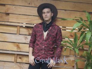 Conall_Hawk