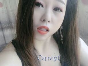 Cumvisit