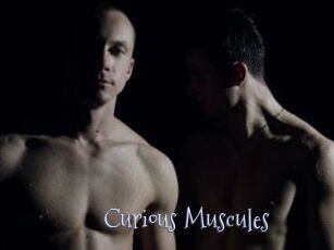 Curious_Muscules