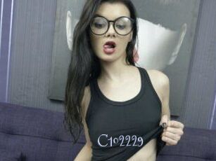 C102229