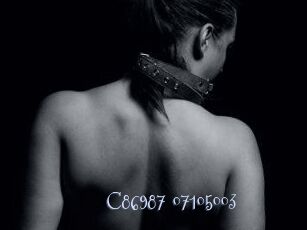C86987-07105003