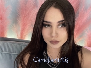 Cameliacurtis