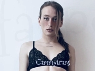 Cammytrans