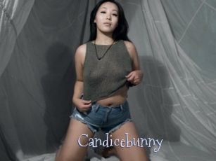 Candicebunny