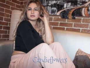 candieflowers Faceporno
