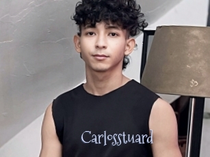 carlosstuard Faceporno
