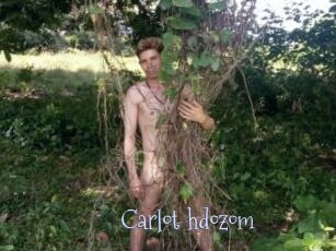 carlot_hdozom Faceporno