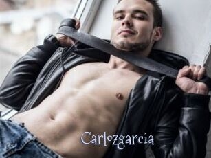 carlozgarcia Faceporno