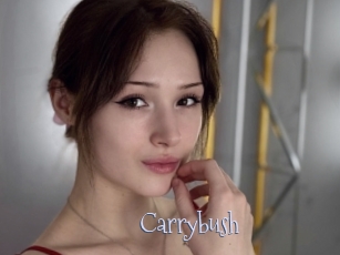 Carrybush