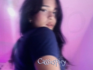 Cassiespicy