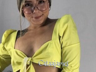 Cataajames